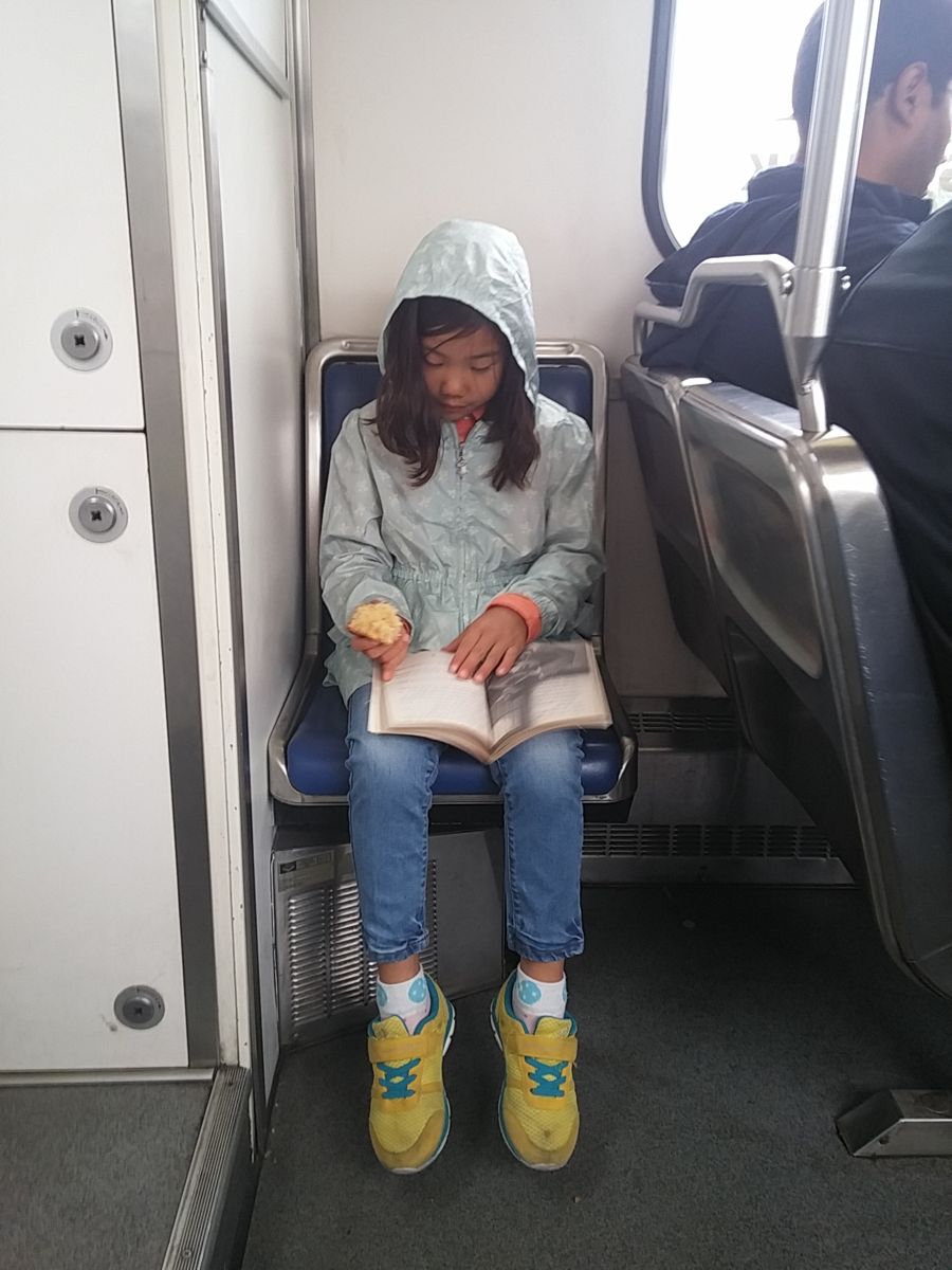 Reading on a train
